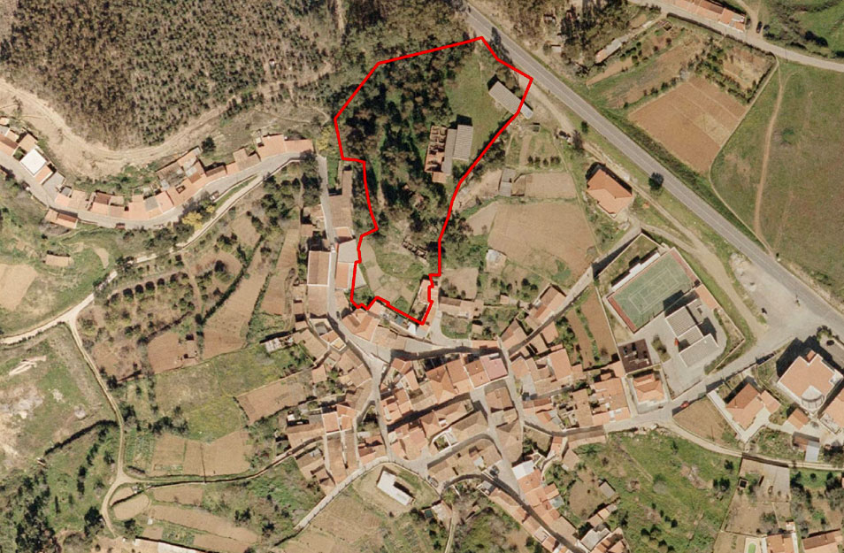 orto_01
