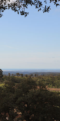 sea_view_01